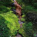 thn_328-G91_7859_Kaňon Dimmuglúfur a Hafrahvammar.jpg